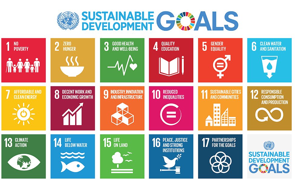 DEMS TO ENABLE NGOS TO ACHIEVE THE 17 SUSTAINABLE DEVELOPEMENT GOALS