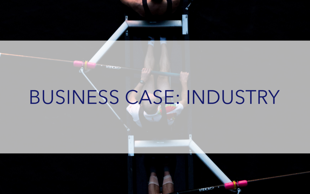 Industry Business Case: Governance Initiative